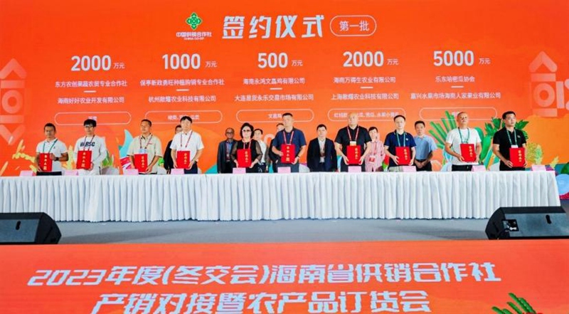如何打造专业高效的官方建站指南