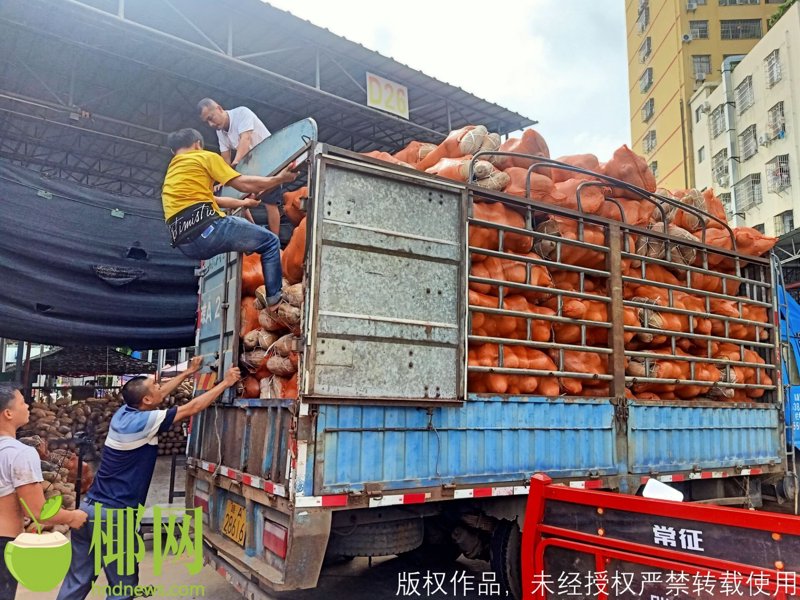 海口市沛珊商贸有限公司如何为您的公司找到一个既好听又寓意美好的名字?让我们一起探索那些能给客户留下深刻印象的企业名称吧!