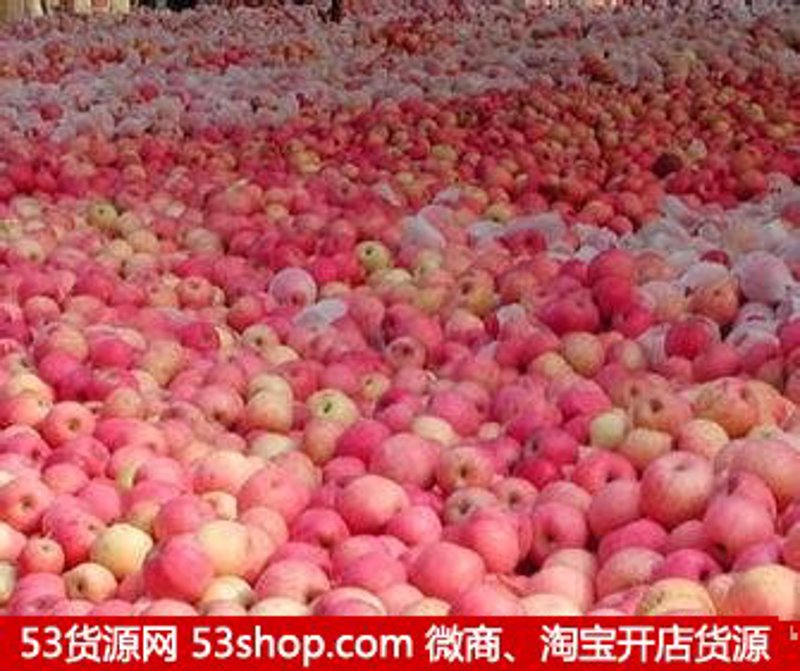 如何打造一个吸引顾客的官方网站平台
